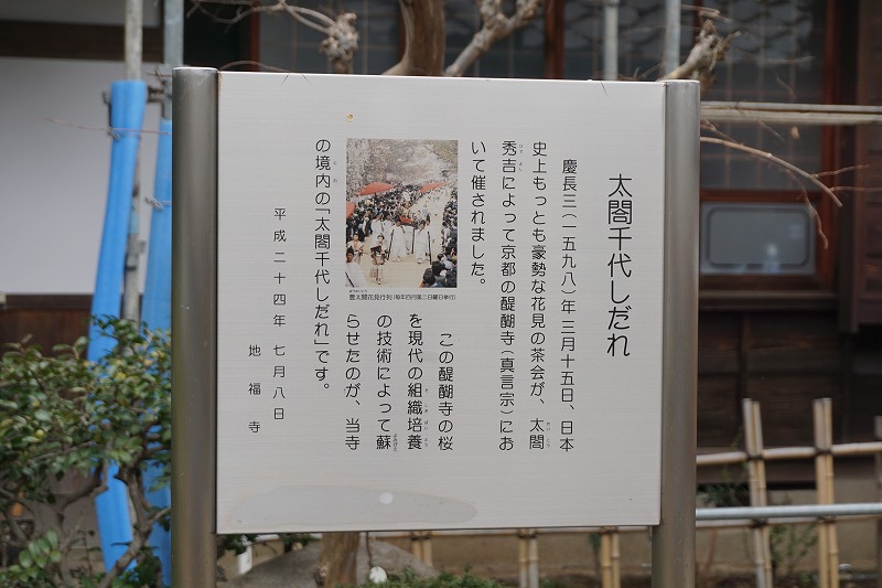 f:id:ovanrei:20210307121159j:image:w360