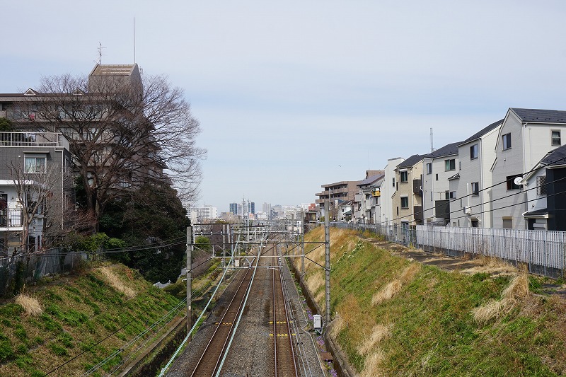 f:id:ovanrei:20210307124746j:image:w360