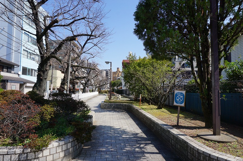 f:id:ovanrei:20210311171351j:image:w360