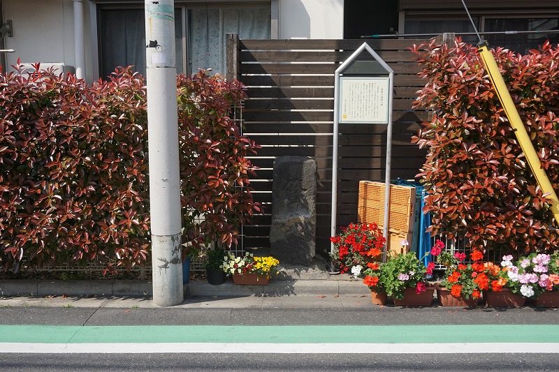 f:id:ovanrei:20210409141331j:image:w360