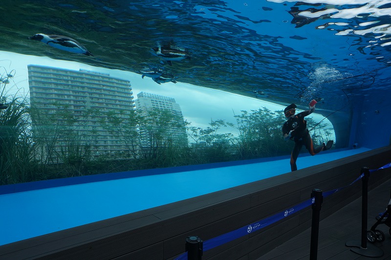 f:id:ovanrei:20210614153939j:image:w360