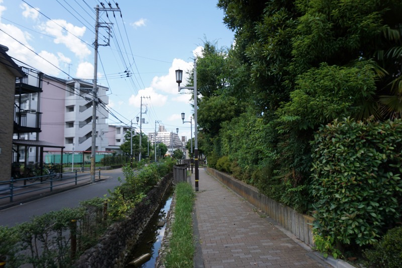 f:id:ovanrei:20210726213745j:image:w360