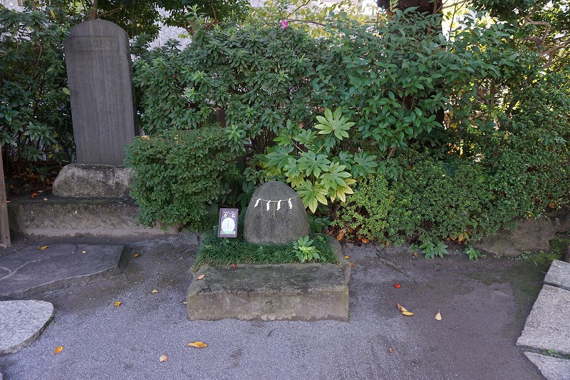 f:id:ovanrei:20211126211040j:image:w360