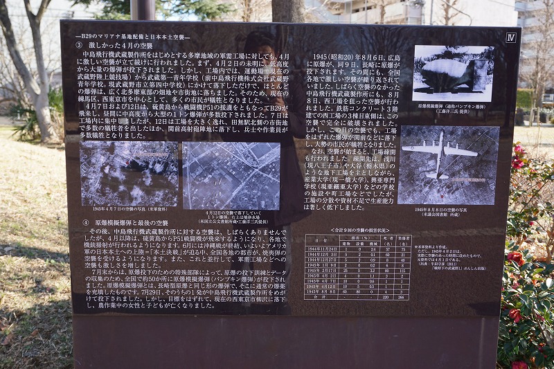 2023/01/31 武蔵野中央公園（武蔵野市平和の木、中島飛行機武蔵
