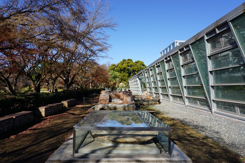 2023/12/17 小石川植物園 - ovanの社会科見学