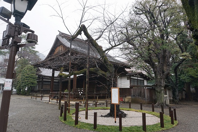 2025/03/05 靖国神社 - ovanの社会科見学