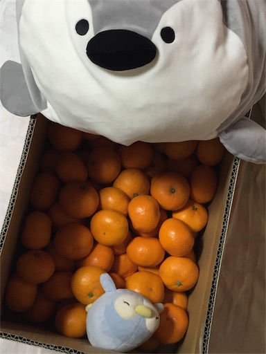 f:id:ovdr:20190118010505j:image