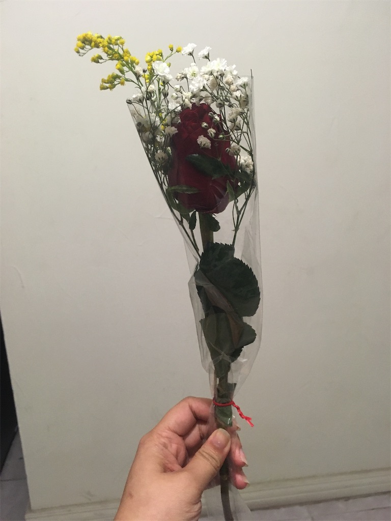 f:id:ovejitaroja:20200218083328j:image f:id:ovejitaroja:20200218083328j:image