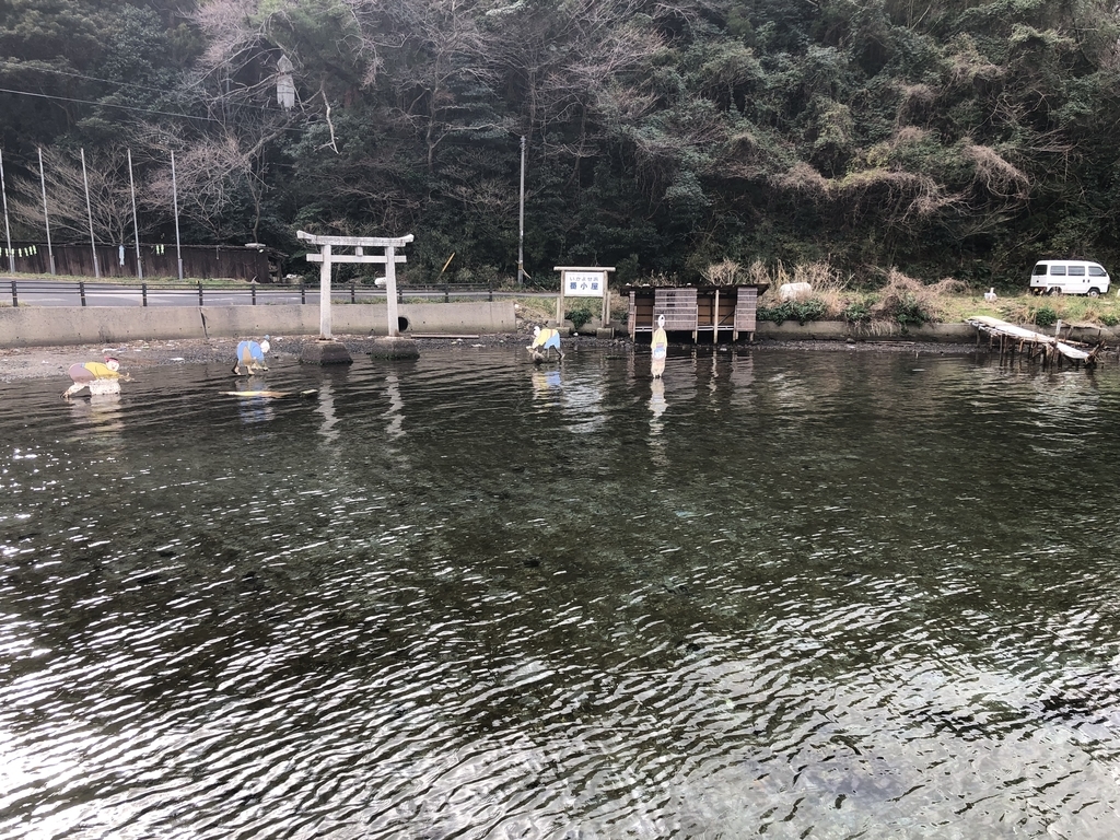 西ノ島・イカ寄せの浜