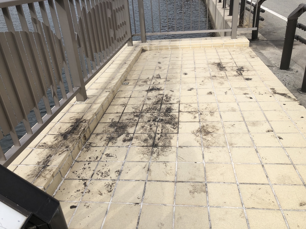 西ノ島・イカ寄せの浜