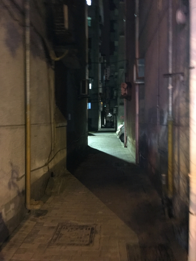 f:id:overseas-division:20170330163938j:plain