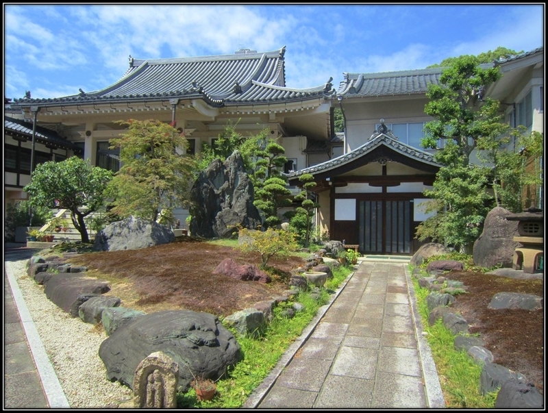 イメージ 9
