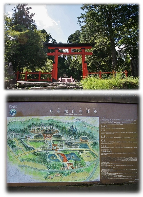 イメージ 13