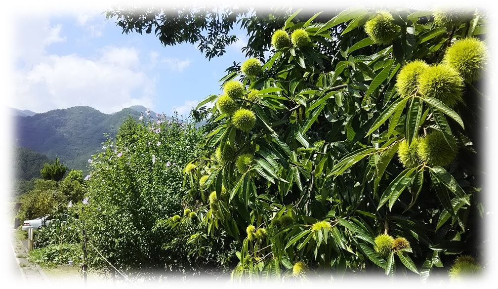 f:id:owari-nagoya55:20190829193411j:plain f:id:owari-nagoya55:20190829193411j:plain