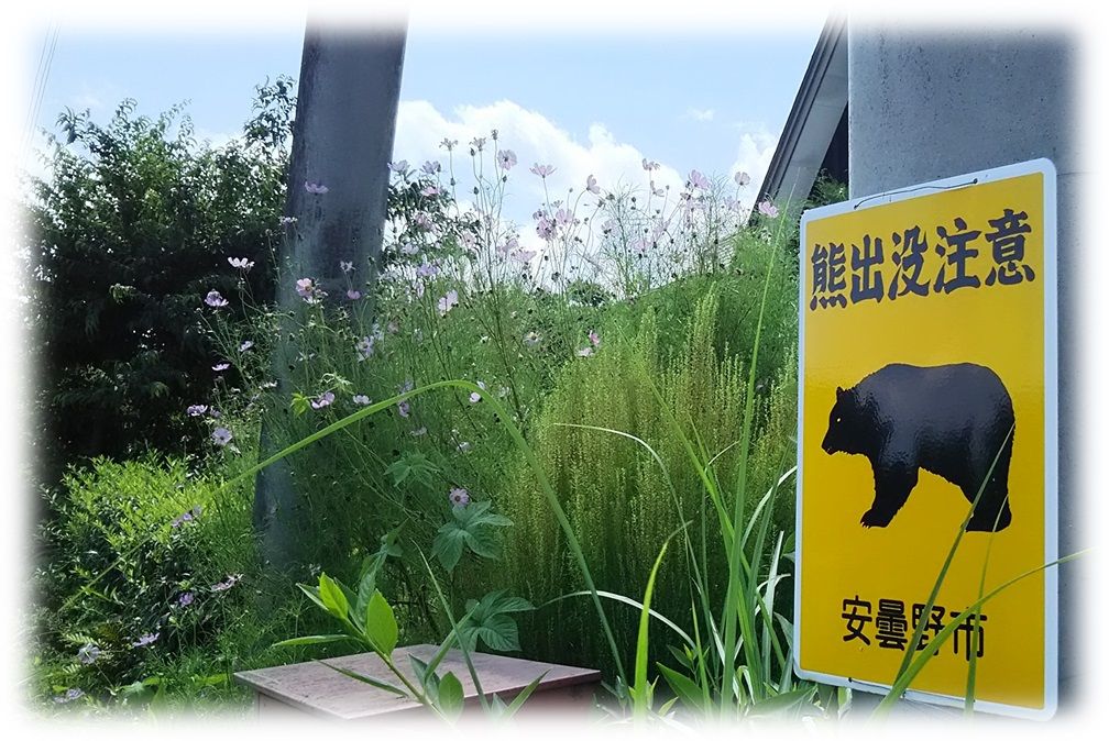 f:id:owari-nagoya55:20190829193434j:plain f:id:owari-nagoya55:20190829193434j:plain