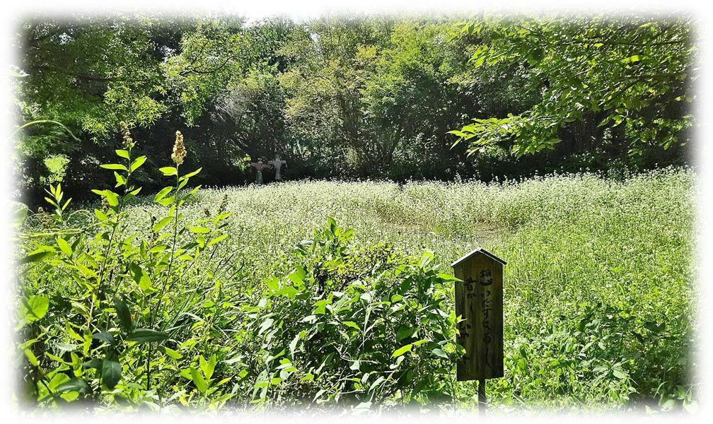 f:id:owari-nagoya55:20190829193622j:plain f:id:owari-nagoya55:20190829193622j:plain