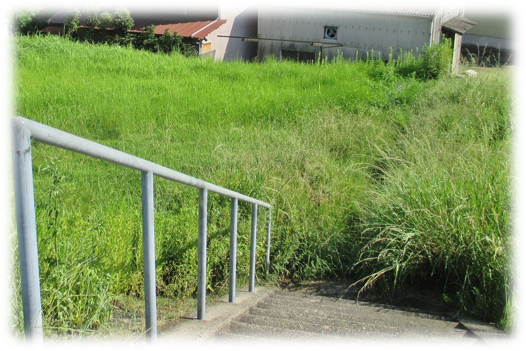 f:id:owari-nagoya55:20190911205052j:plain