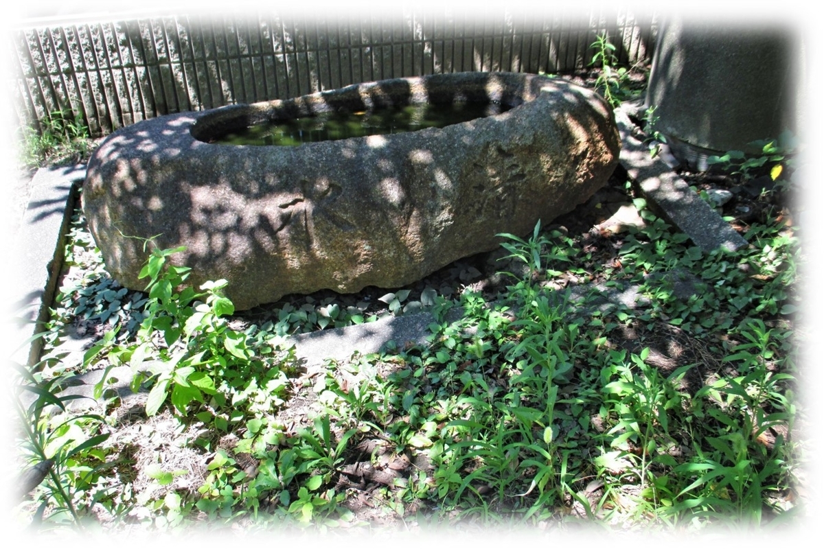 f:id:owari-nagoya55:20210818143313j:plain