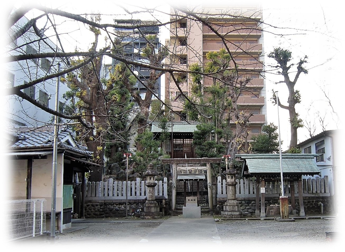 f:id:owari-nagoya55:20220114084307j:plain