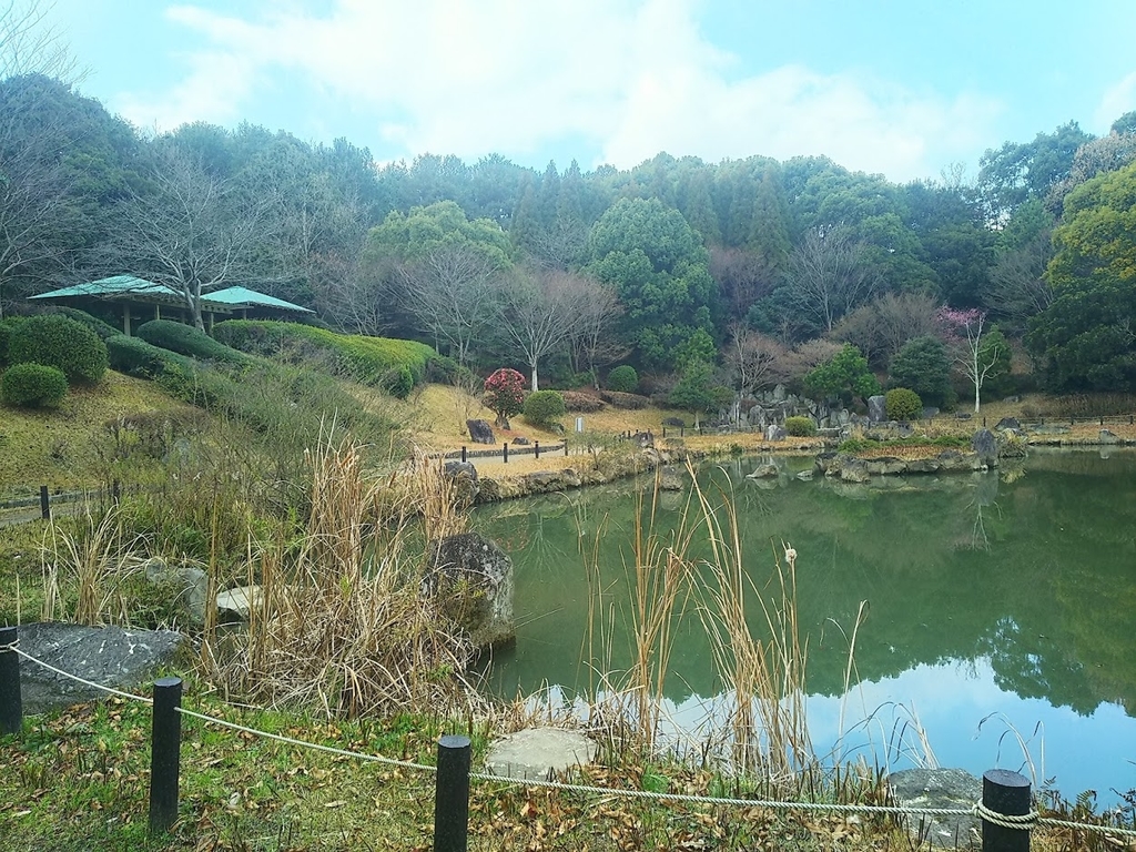f:id:owlowl72:20190127165004j:plain
