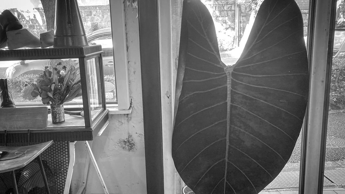 f:id:owlshimeji:20211019144234j:plain