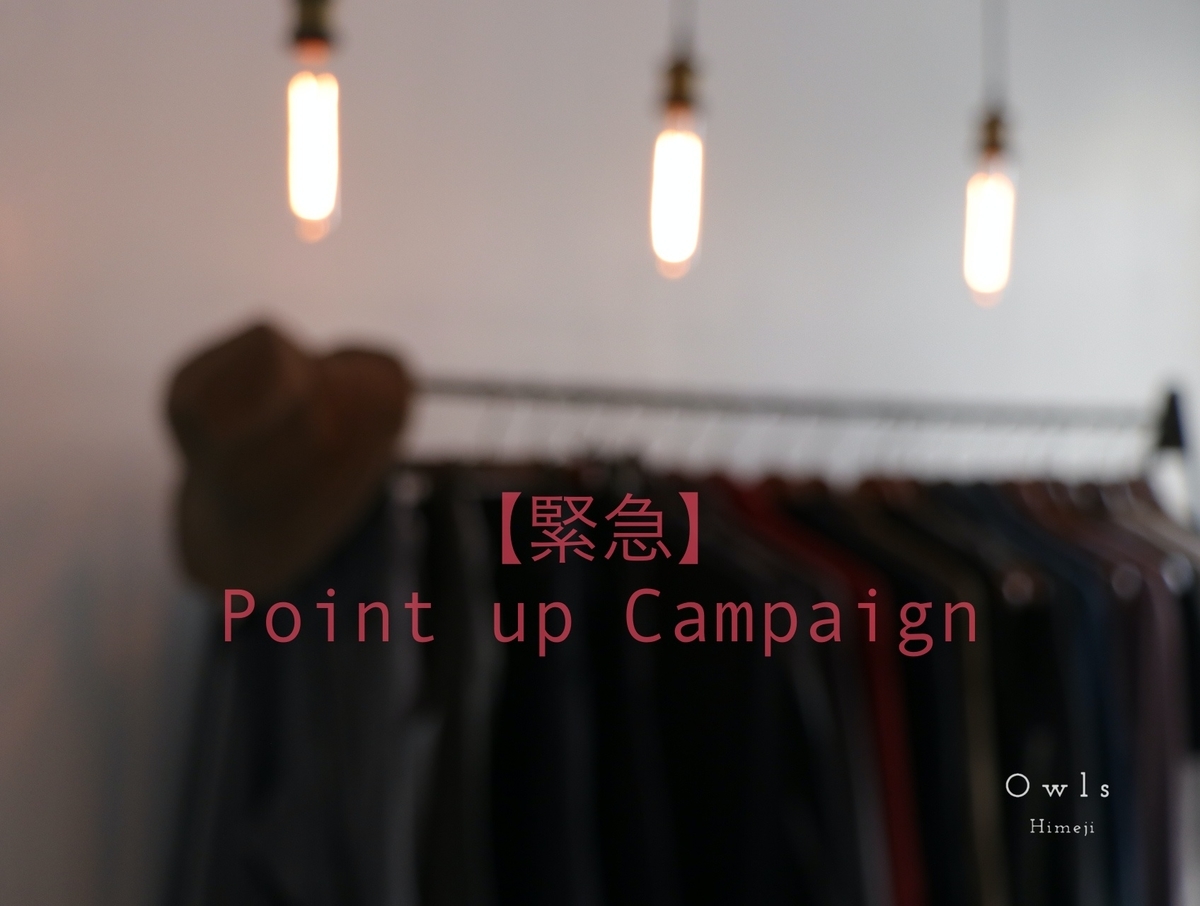 f:id:owlshimeji:20211125230859j:plain