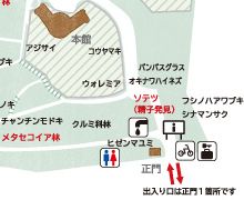 小石川植物園の案内図には「パンパスグラス」