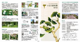 小石川植物園（新）案内図1