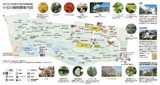 小石川植物園（新）案内図2