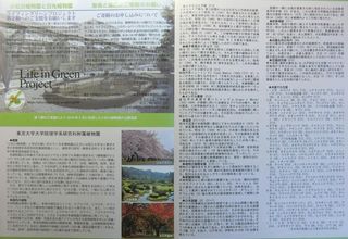 小石川植物園（旧）案内図1