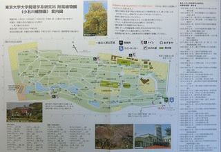 小石川植物園（旧）案内図2