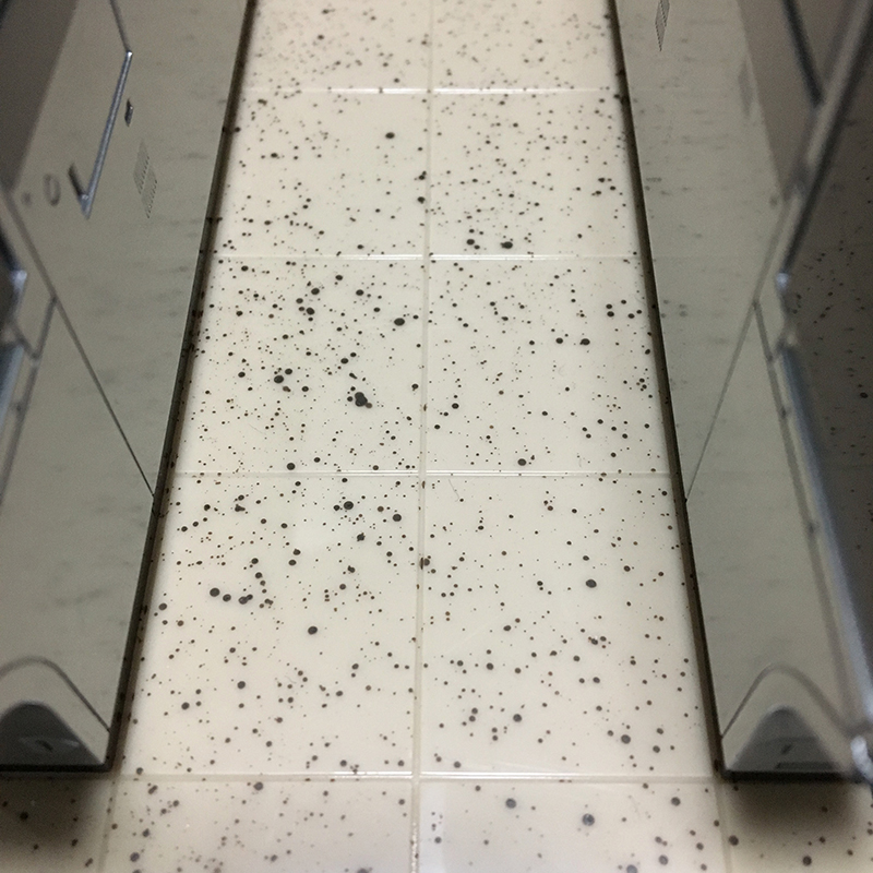 f:id:owlwayshappy:20171217101732j:plain f:id:owlwayshappy:20171217101732j:plain