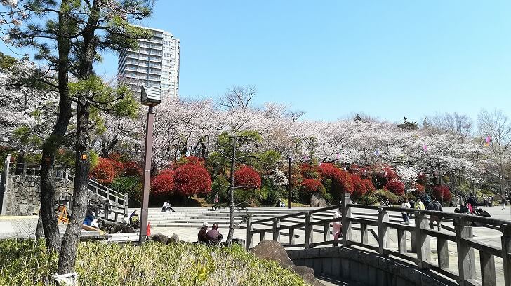 f:id:ownhome:20190404205108j:plain