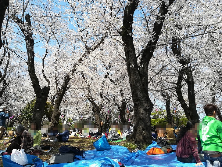 f:id:ownhome:20190404205152j:plain