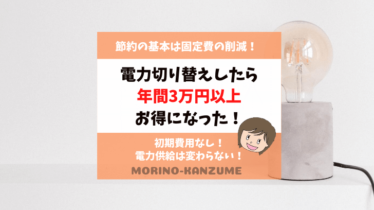 電力自由化で電力切り替えしてみた