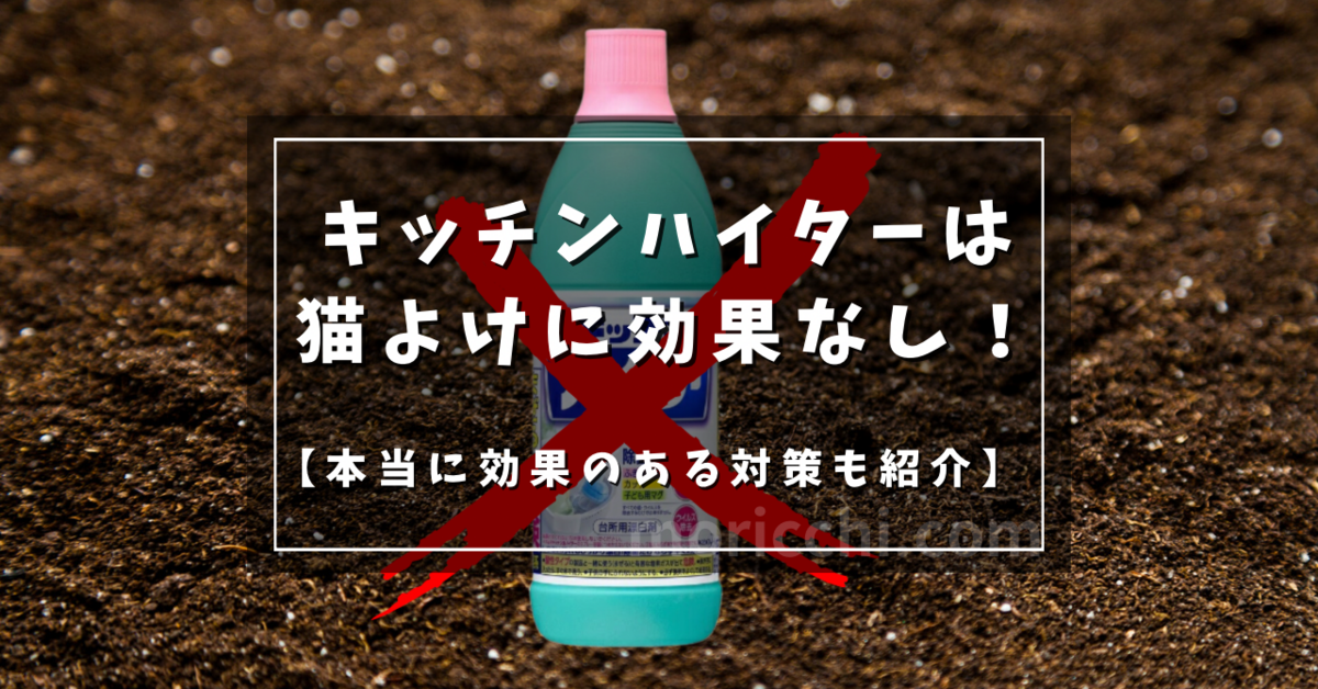 猫よけにキッチンハイターは効果なし！その理由と本当に効果のある猫よけ対策を紹介