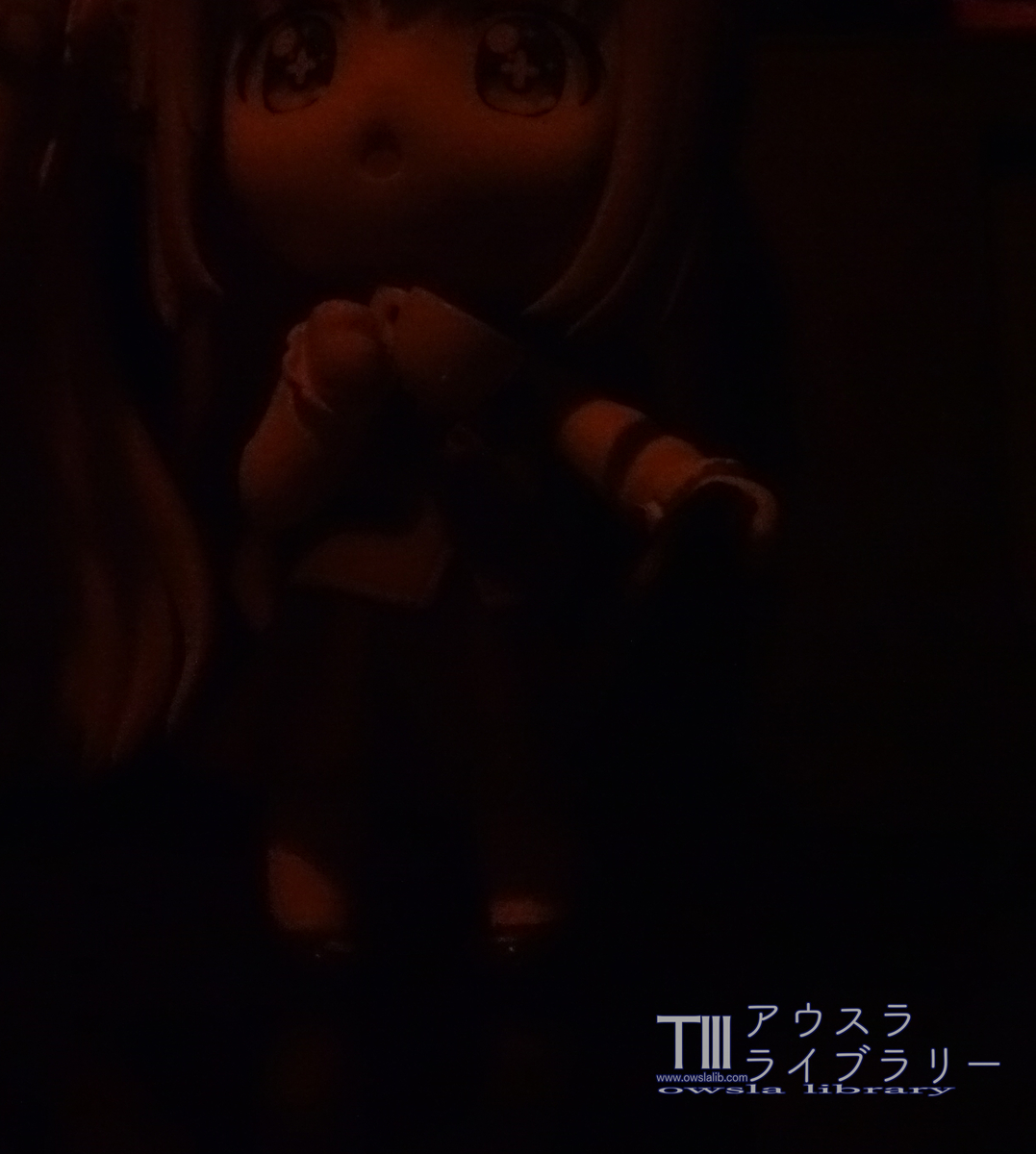 f:id:owsla:20200201012451j:plain