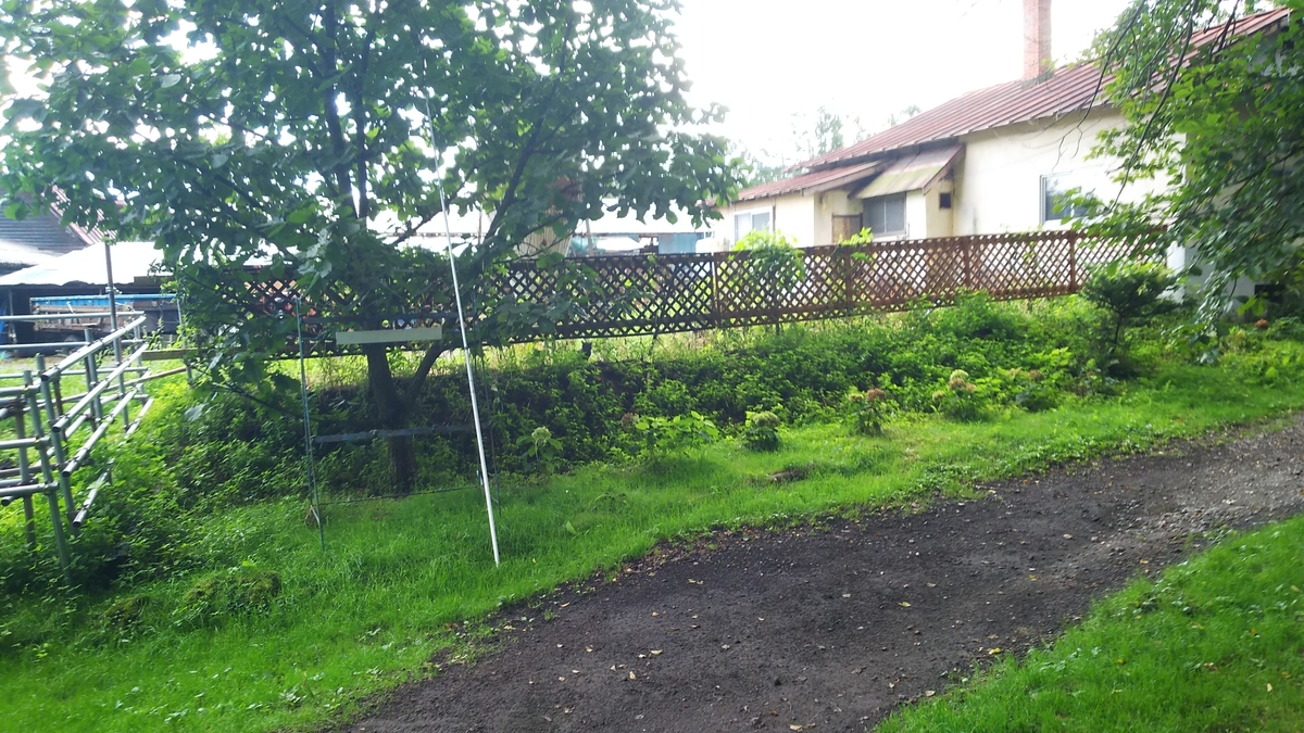 猫 遠くから鳴く