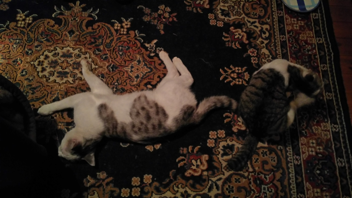 f:id:oww1231:20190909221121j:plain f:id:oww1231:20190909221121j:plain