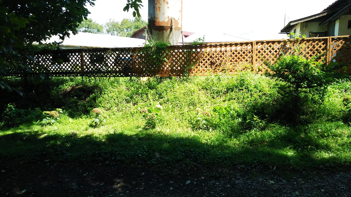 f:id:oww1231:20190909221939j:plain f:id:oww1231:20190909221939j:plain