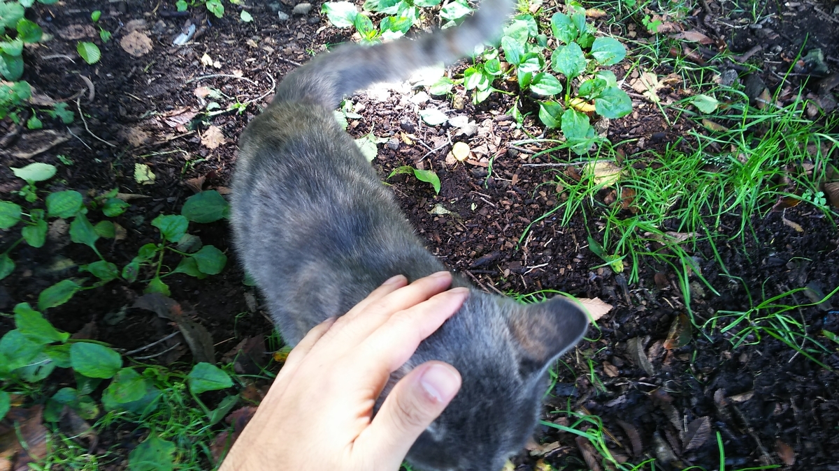 f:id:oww1231:20190909222956j:plain f:id:oww1231:20190909222956j:plain