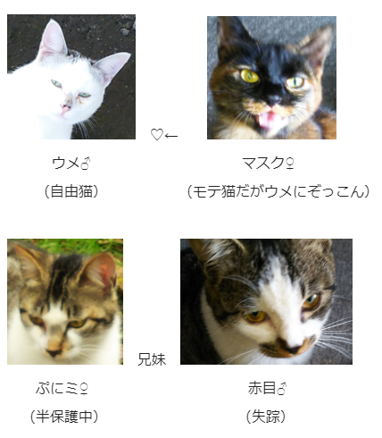 ウメ一派