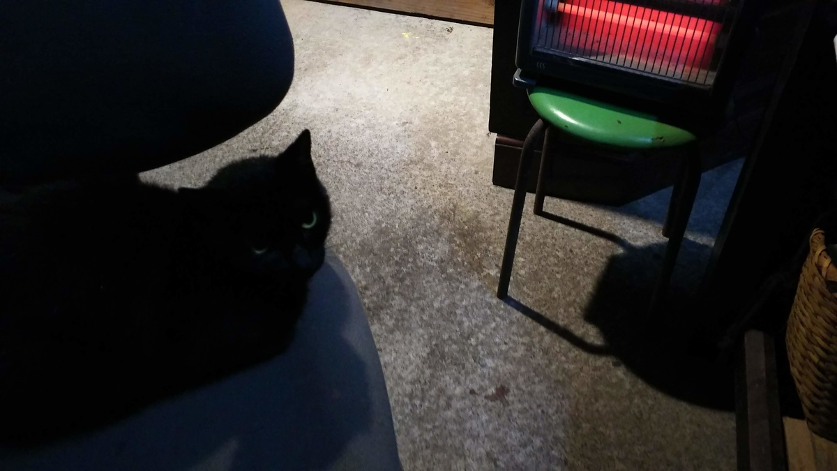 猫 温まる ヒーター