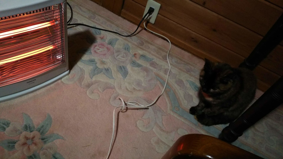 猫 温まる ヒーター