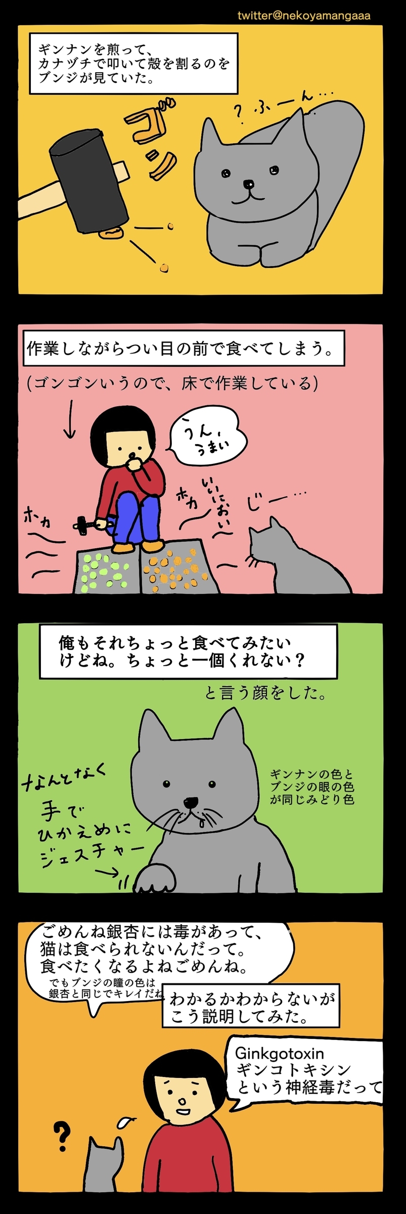 ギンナンをたたく私とそれを見る猫