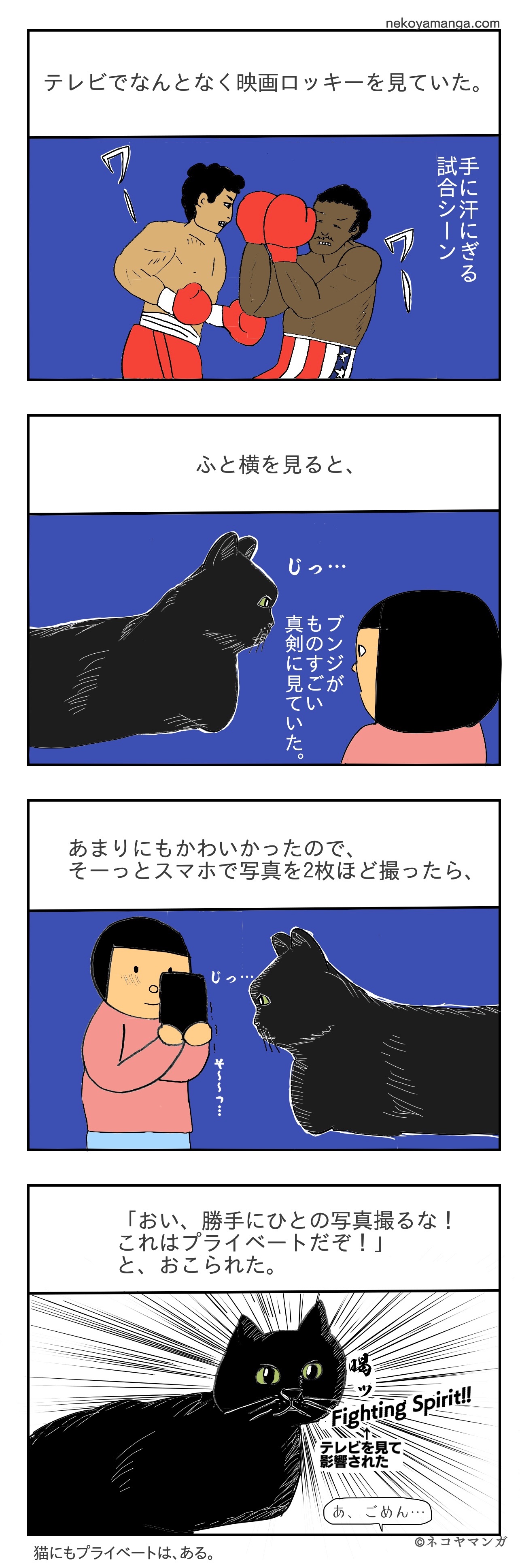 f:id:oxoxoxoxoxox:20230809185330j:image