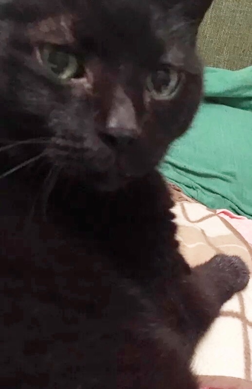 f:id:oxoxoxoxoxox:20230810212447j:image