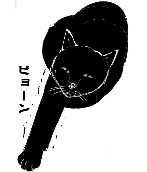 f:id:oxoxoxoxoxox:20230818194018j:image f:id:oxoxoxoxoxox:20230818194018j:image