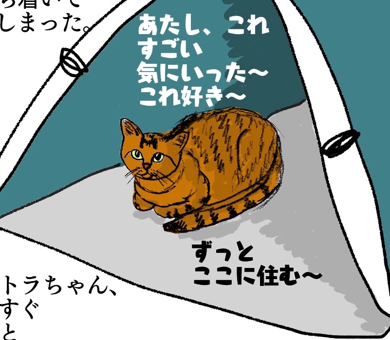 f:id:oxoxoxoxoxox:20231007192402j:image