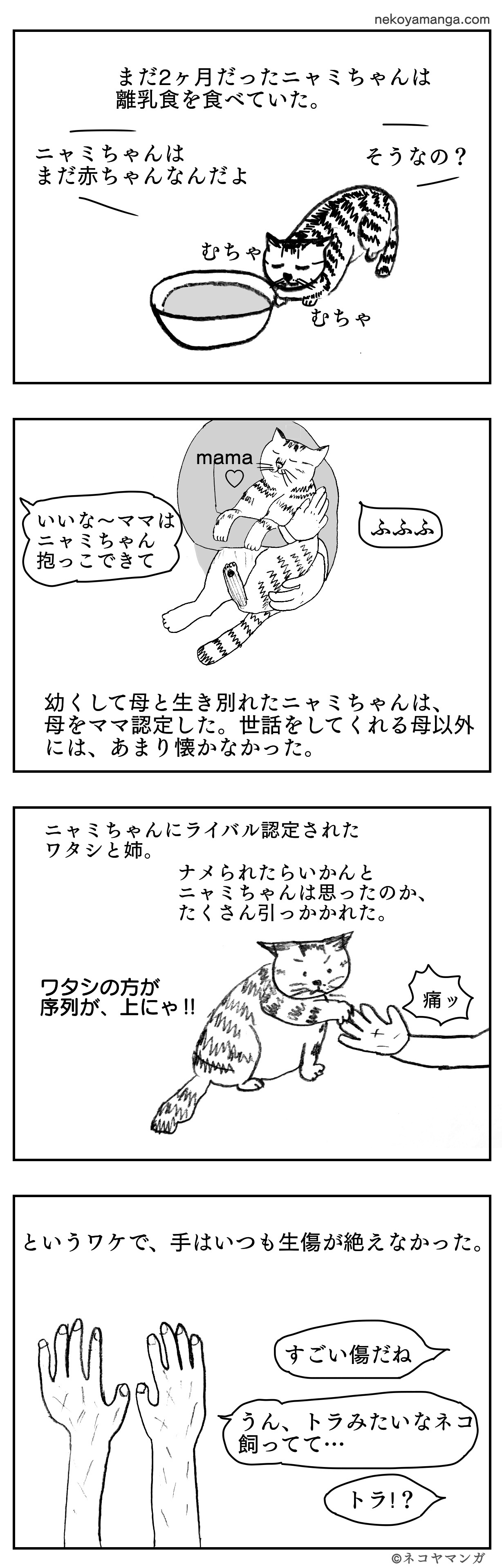 f:id:oxoxoxoxoxox:20231123215031j:image